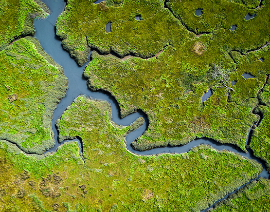 A river curving through a green wetland.